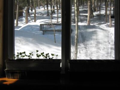 Growing A Garden At High Elevation Image